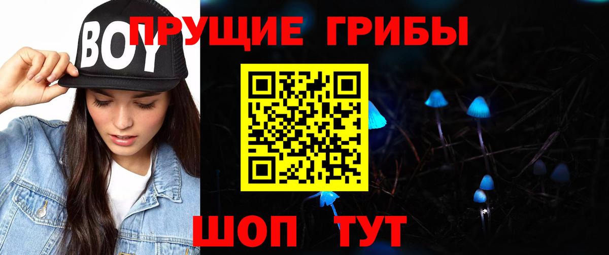Алатырь  Псилоцибиновые грибы GOLDEN TEACHER  Вход с VPN 
